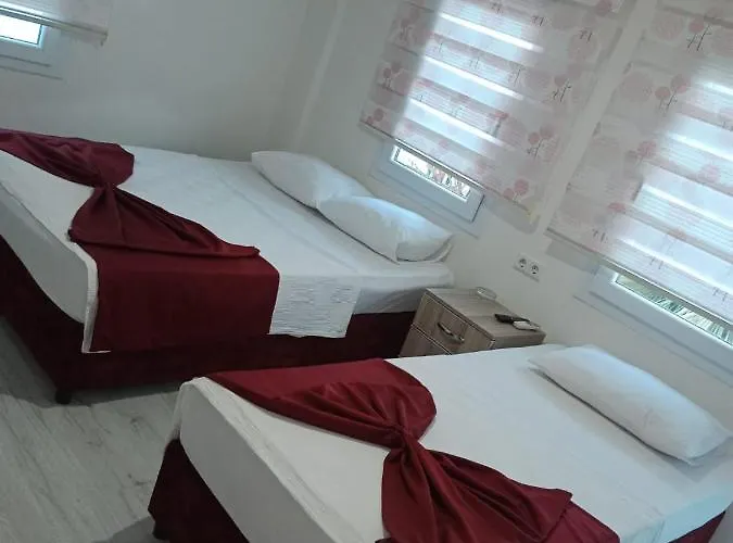 Denizyildizi 3* Фетхие