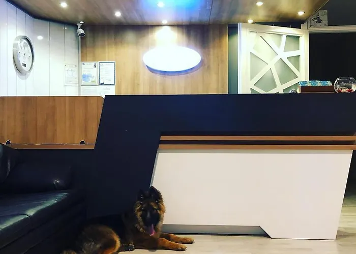 Denizyildizi 3* Fethiye